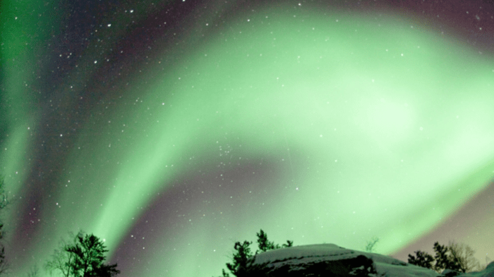 Aurora Borealis Muncul di Langit Inggris dan Belanda, Apa Itu dan ... Keindahan Aurora Borealis Hiasi Langit Iowa Amerika Serikat